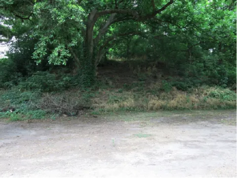 Anguilla Mound