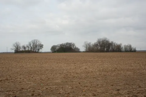 Arcola Mounds