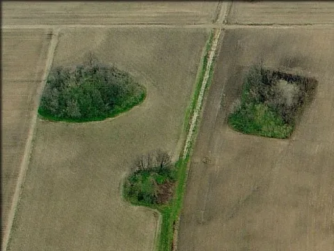 Arcola Mounds
