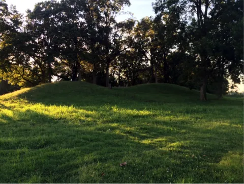 View of Carson Mounds