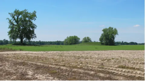 View of Carter Mound