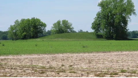View of Carter Mound