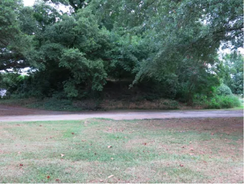 View of Cary Mound