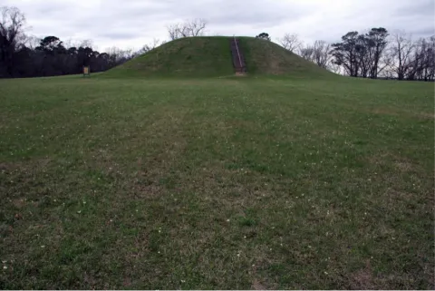 View of Emerald Mound