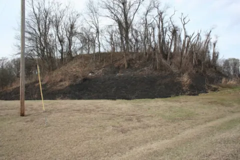 View of Grace Mounds