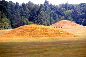 View of Jaketown Mounds