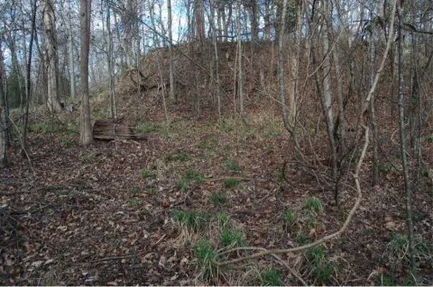 View of Lessley Mound