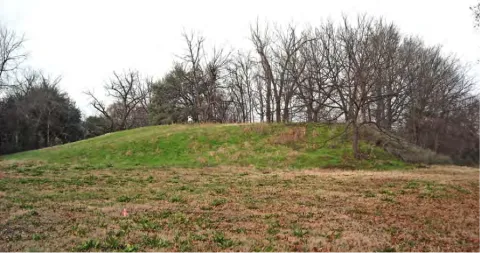 View of Rolling Fork Mounds