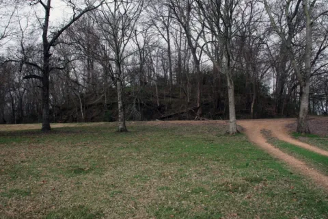 View of Smith Creek Mounds