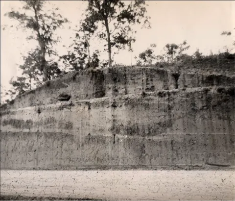 1960 map showing Smith Creek Mounds