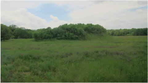 View of Swan Lake Mounds