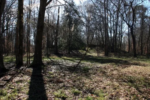 View of Windsor Mounds